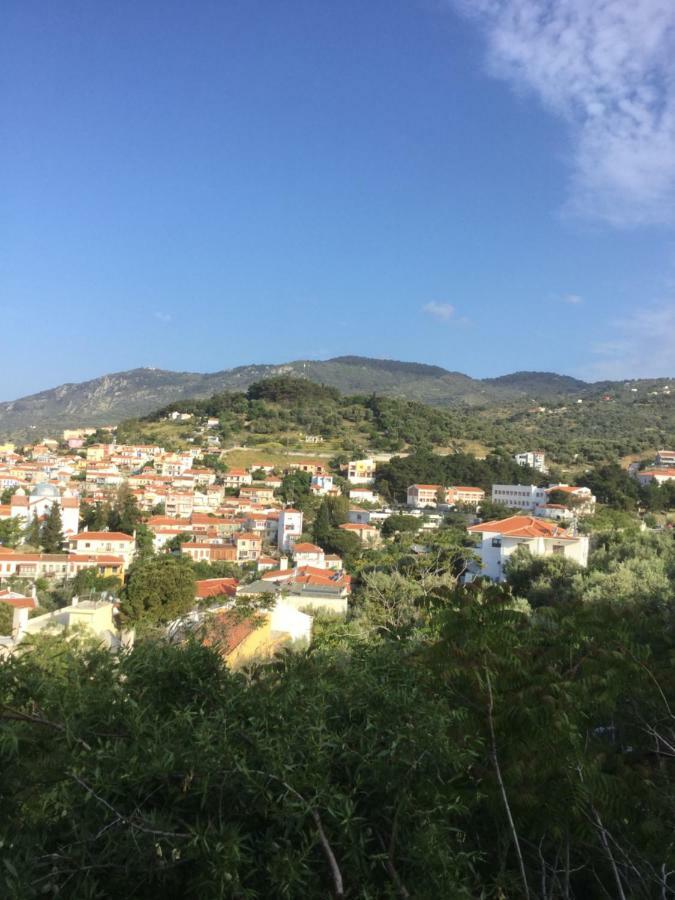 Panorama Apartments Plomari Luaran gambar